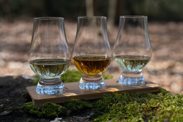 Tasting of scotch single malt whisky from Islay island, most intensely flavoured of all whiskies in Scotland