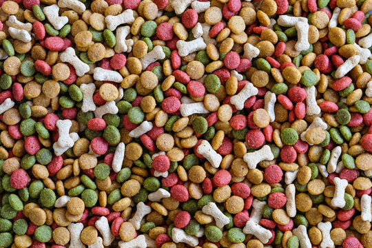 Dry pet food top view colorful