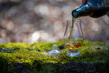 Tasting of scotch single malt whisky from Islay island, most intensely flavoured of all whiskies in Scotland