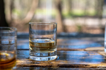 Tasting of scotch single malt whisky from Islay island, most intensely flavoured of all whiskies in Scotland