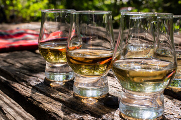 Tasting of different Scotch whiskies on outdoor terrace, dram of whiskey and red tartan