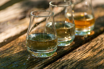 Tasting of different Scotch whiskies on outdoor terrace, dram of whiskey