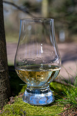 Tasting of scotch single malt whisky from Islay island, most intensely flavoured of all whiskies in Scotland