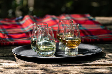 Tasting of different Scotch whiskies on outdoor terrace, dram of whiskey and red tartan