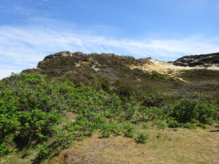 Morsum Kliff im Juni 2020