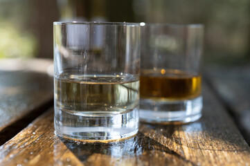 Tasting of scotch single malt whisky from Islay island, most intensely flavoured of all whiskies in Scotland