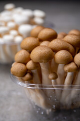Fresh buna brown and bunapi white shimeji edible mushrooms from Asia, rich in umami tasting compounds such as guanylic and glutamic acid