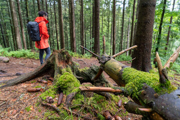 Im Schwarzwald am Kniebis  bei Freudenstadt
