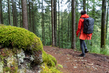 Im Schwarzwald am Kniebis  bei Freudenstadt