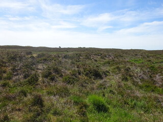 Morsum Kliff im Juni 2020