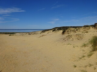 Morsum Kliff im Juni 2020