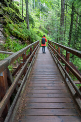Im Schwarzwald am Kniebis  bei Freudenstadt