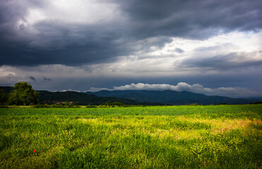 Meadow at the spring with mountains and dark clouds in the background
