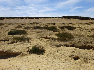 Morsum Kliff im Juni 2020