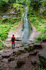 Obraz premium Im Schwarzwald am Kniebis bei Freudenstadt
