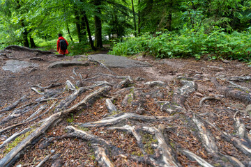 Im Schwarzwald am Kniebis  bei Freudenstadt