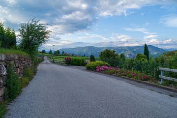 Fototapeta na wymiar A view of the beautiful Appiano in Italian South Tyrol