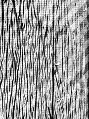 Grunge wall texture background