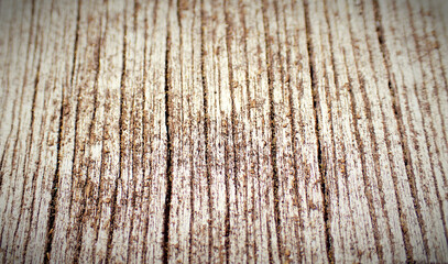 Fototapeta premium Wooden plank