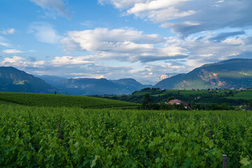 A view of the beautiful Appiano in Italian South Tyrol