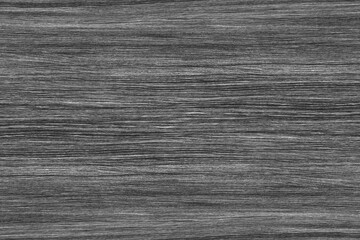 Naklejka premium grey wood grain tree timber background texture structure backdrop