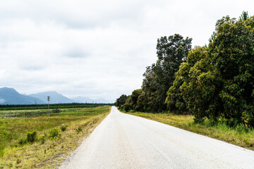 Fototapeta premium South African Road