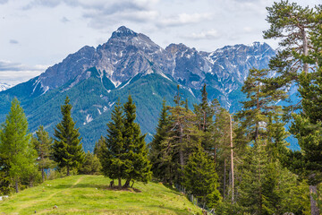 Fototapeta premium Blick von der Pfarrachalm auf die Serles im Stubaital
