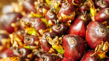 Closeup on oil palm fruits.