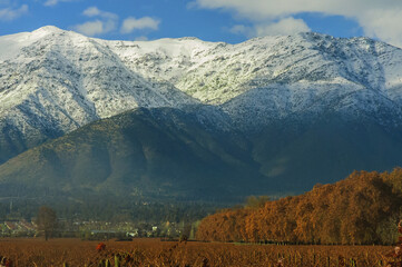 Santiago de chile Sudamerica vista de la cordillera de los andes nevada en otoño junto a una viña...