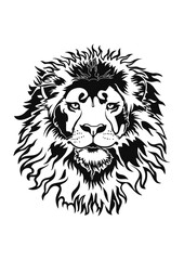 lion vector illustration