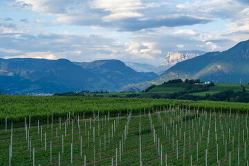 Fototapeta na wymiar A view of the beautiful Appiano in Italian South Tyrol