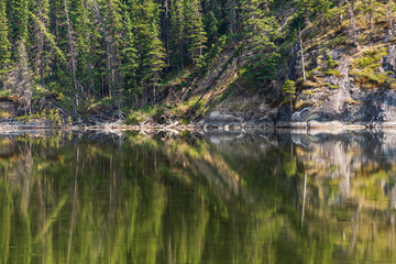 nature scenarios inside Jasper National Park, Alberta, Canada