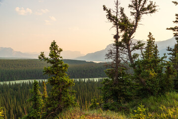 nature scenarios inside Jasper National Park, Alberta, Canada