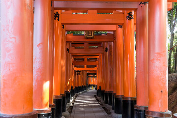 The famous Tori Gates of Fushimi Inari shrine in Kyoto Japan