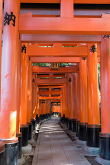 The famous Tori Gates of Fushimi Inari shrine in Kyoto Japan