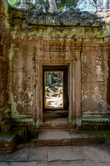 Fototapeta na wymiar Walls Doors and Windows at the Ruins of Ta Prohm Temple at Angkor Wat Siem Reap Cambodia