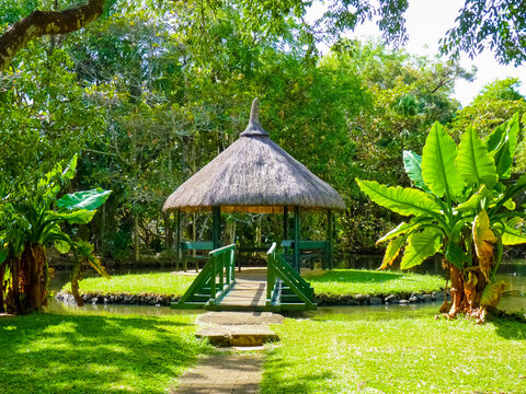 Sir Seewoosagur Ramgoolam Botanical Garden in Pamplemousses, Mauritius island