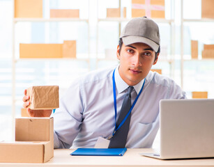 Male employee working in box delivery relocation service