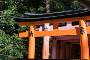 The famous Tori Gates of Fushimi Inari shrine in Kyoto Japan