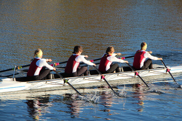 Rowing female crew in a white sports boat on the water.