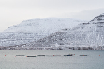 ISAFJORDUR, ICELAND - JANUARY 19, 2019: An aquaculture farm outside the town of Isafjordur in the Icelandic westfjords. Salmon and trout farming is a growing industry in the area and is about to boom.