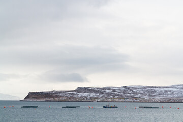 ISAFJORDUR, ICELAND - JANUARY 19, 2019: An aquaculture farm outside the town of Isafjordur in the...