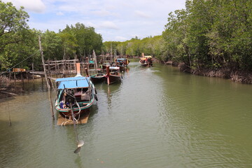 Port, mangrove à Kho Lanta, Thaïlande
