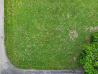 Top down look to connection of paths between grass, bushes and trees.