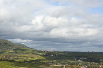 Fototapeta na wymiar Vineyard rhine valley palatine nice weather bule sky beautiful colors