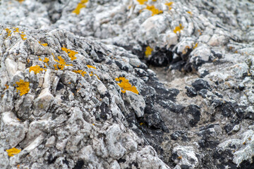 Detail of a limestone rock formation with small patches of lichen.