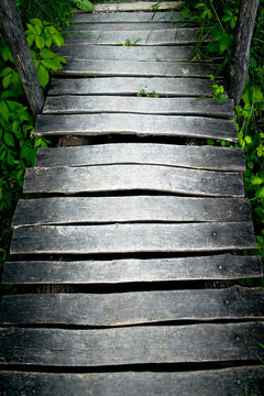A forest road across a wooden bridge