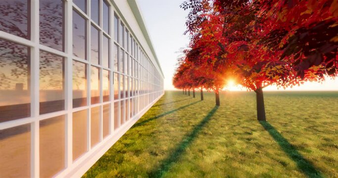 3d rendering of seamless looping video of red leaf against with sunlight reflection on glass window move forward.