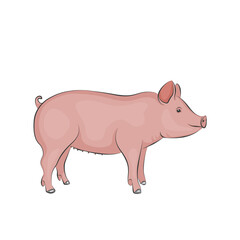 Little cute pink toy piglet