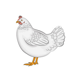 Sweet white chicken with orange beak and pink scallop